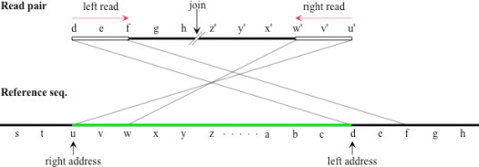 Typical Convergent Join, Near Middle of Read-Pair